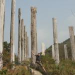Lantau Island - Wisdom path